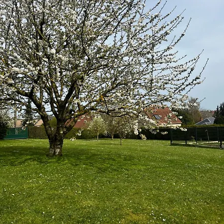 Le De L'oppidum فيلة Etrun